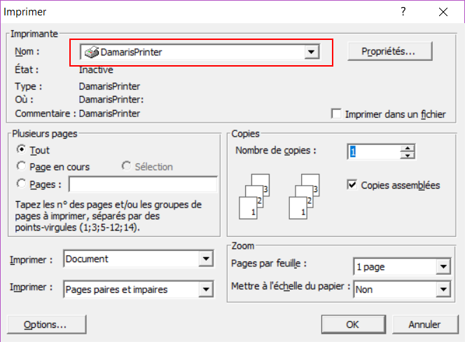 Damaris Printer menu imprimante