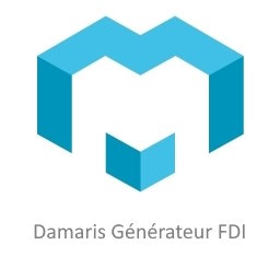 Damaris FDI Generator