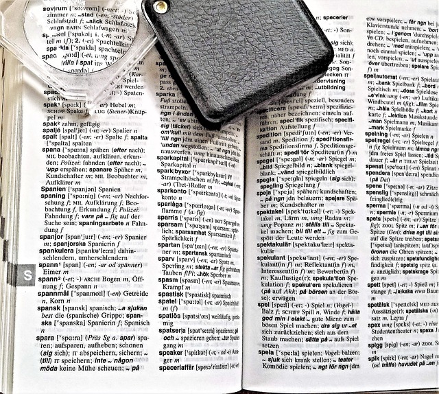 Dictionnaire Damaris RM