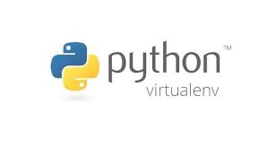 Damaris RM Python venv