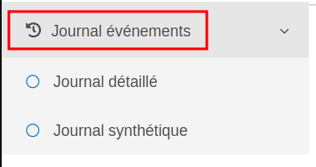 Damaris RM Journal événements