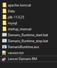 Damaris RM Runtime contenu du disque externe